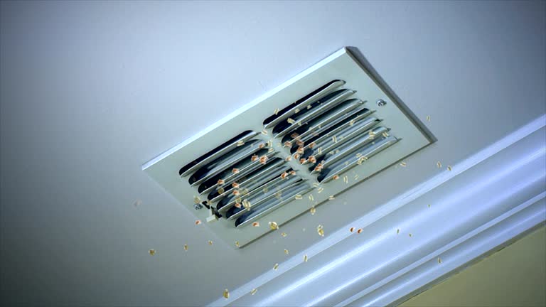 Best Affordable Air Duct Cleaning  in Kansas City, KS