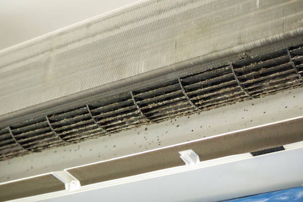 Best Best Air Duct Cleaning Near Me  in Kansas City, KS